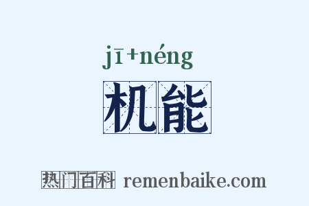 机能是什么意思的图片